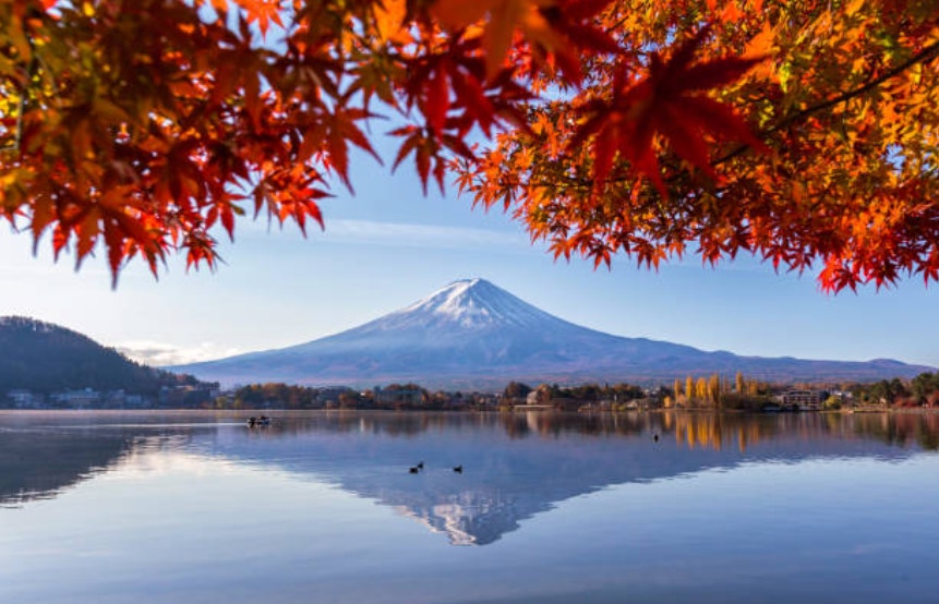 日本紅葉19 最強日本紅葉情報 最佳賞楓時期 個絕美秘景 香港01 旅遊