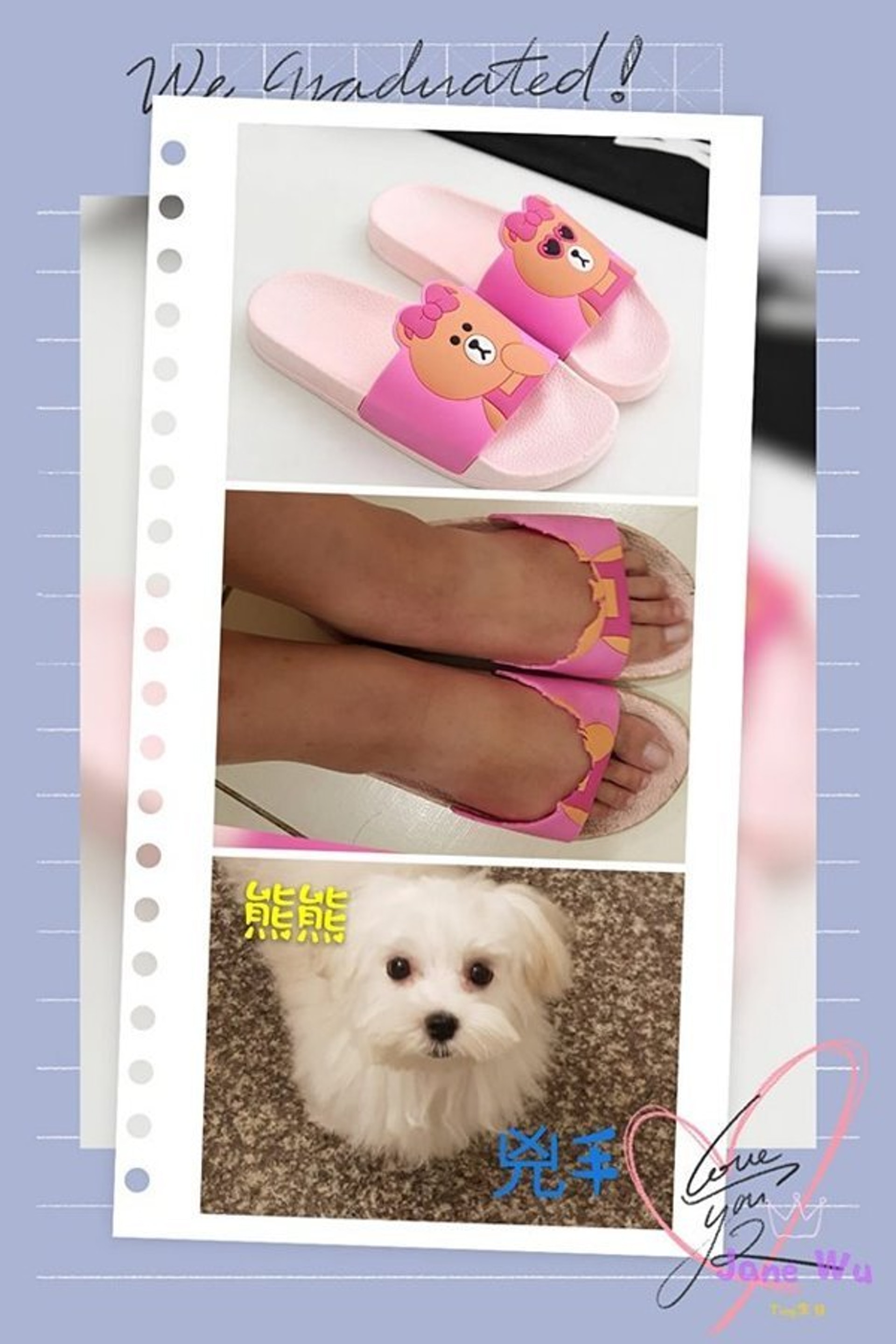 寵物卻也時常做出許多讓飼主哭笑不得的情況。(Facebook@爆廢公社) 寵物卻也時常做出許多讓飼主哭笑不得的情況。(Facebook@爆廢公社)