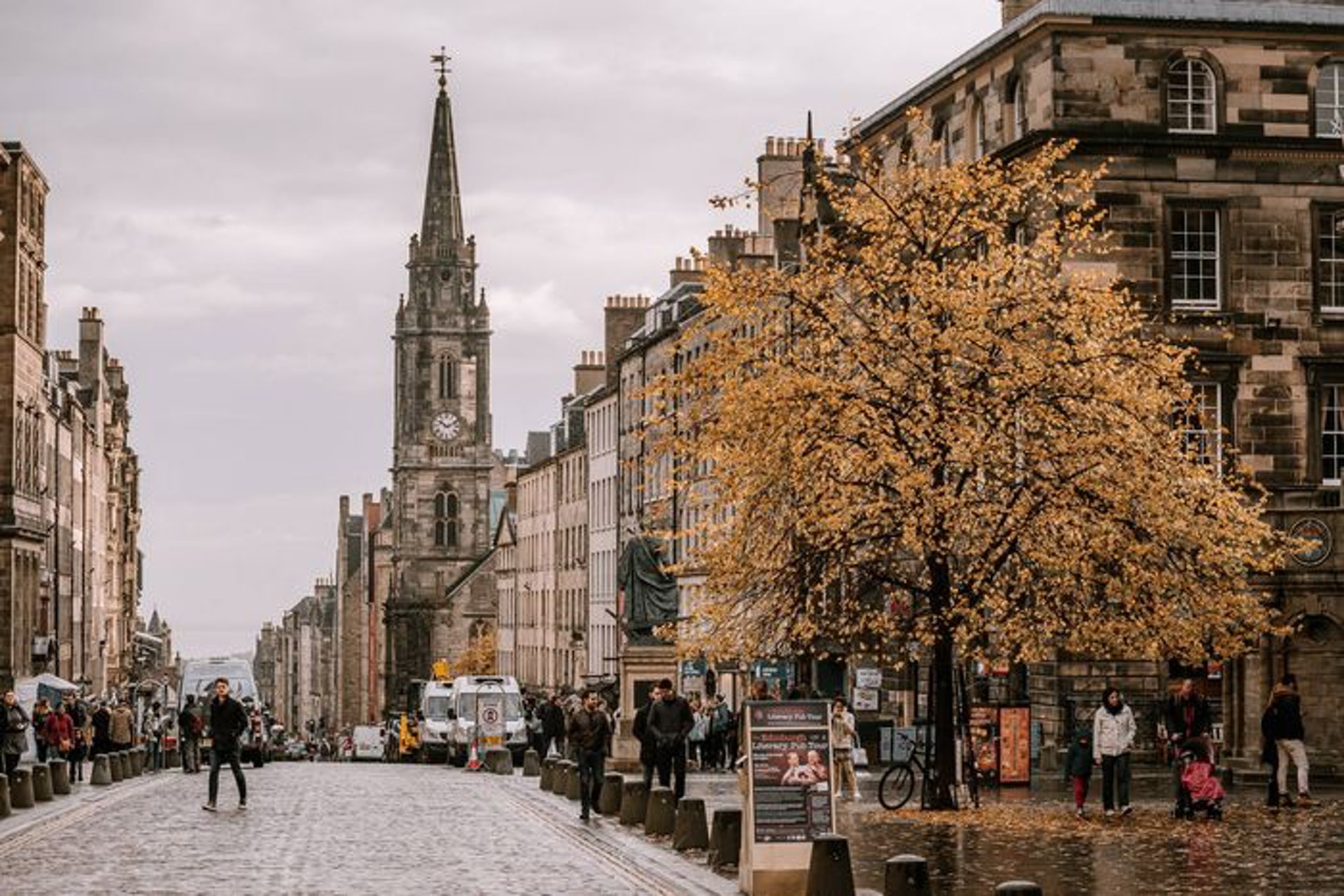 皇家哩(wilhelm攝)