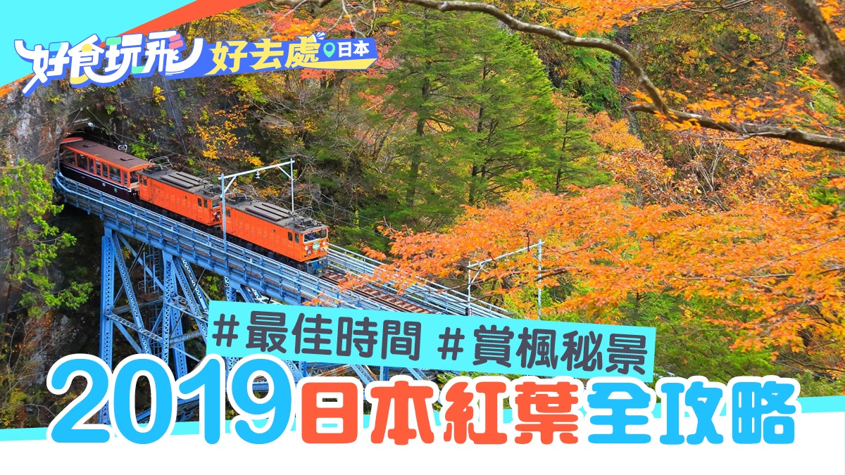 日本紅葉19 最強日本紅葉情報 最佳賞楓時期 個絕美秘景 香港01 旅遊