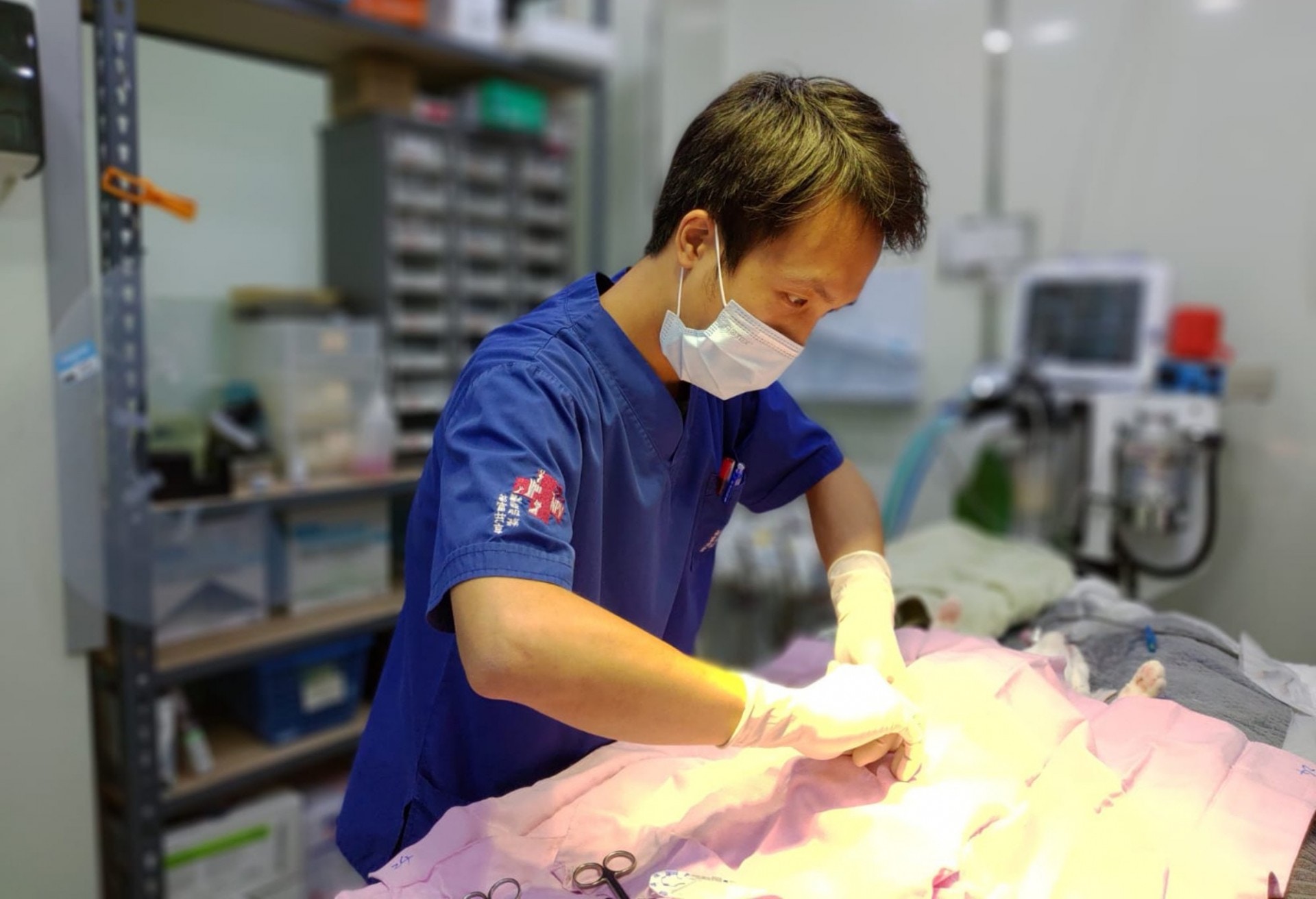 Laurence坦言,以Goofy和烏咀的情況,如送到私人獸醫診所救治,單是診金已近千元,還未計後續治療、住院等收費。幸得NPV「社區動物絕育中心」的免費緊急醫療服務,才能救回牠們的性命。(相片由NPV非牟利獸醫服務協會提供) Laurence坦言,以Goofy和烏咀的情況,如送到私人獸醫診所救治,單是診金已近千元,還未計後續治療、住院等收費。幸得NPV「社區動物絕育中心」的免費緊急醫療服務,才能救回牠們的性命。(相片由NPV非牟利獸醫服務協會提供)