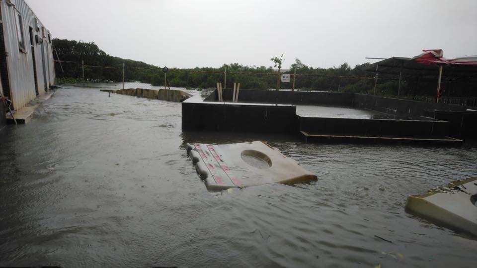 去年超強颱風「山竹」來港前,義工早已在收容所場內場外作好準備,例如堆疊沙包,又設置水馬,以及用帆布覆蓋場內已經老化的狗棚,可惜仍不敵大雨。(RCAP拯救遺棄寵物中心) 去年超強颱風「山竹」來港前,義工早已在收容所場內場外作好準備,例如堆疊沙包,又設置水馬,以及用帆布覆蓋場內已經老化的狗棚,可惜仍不敵大雨。(RCAP拯救遺棄寵物中心)