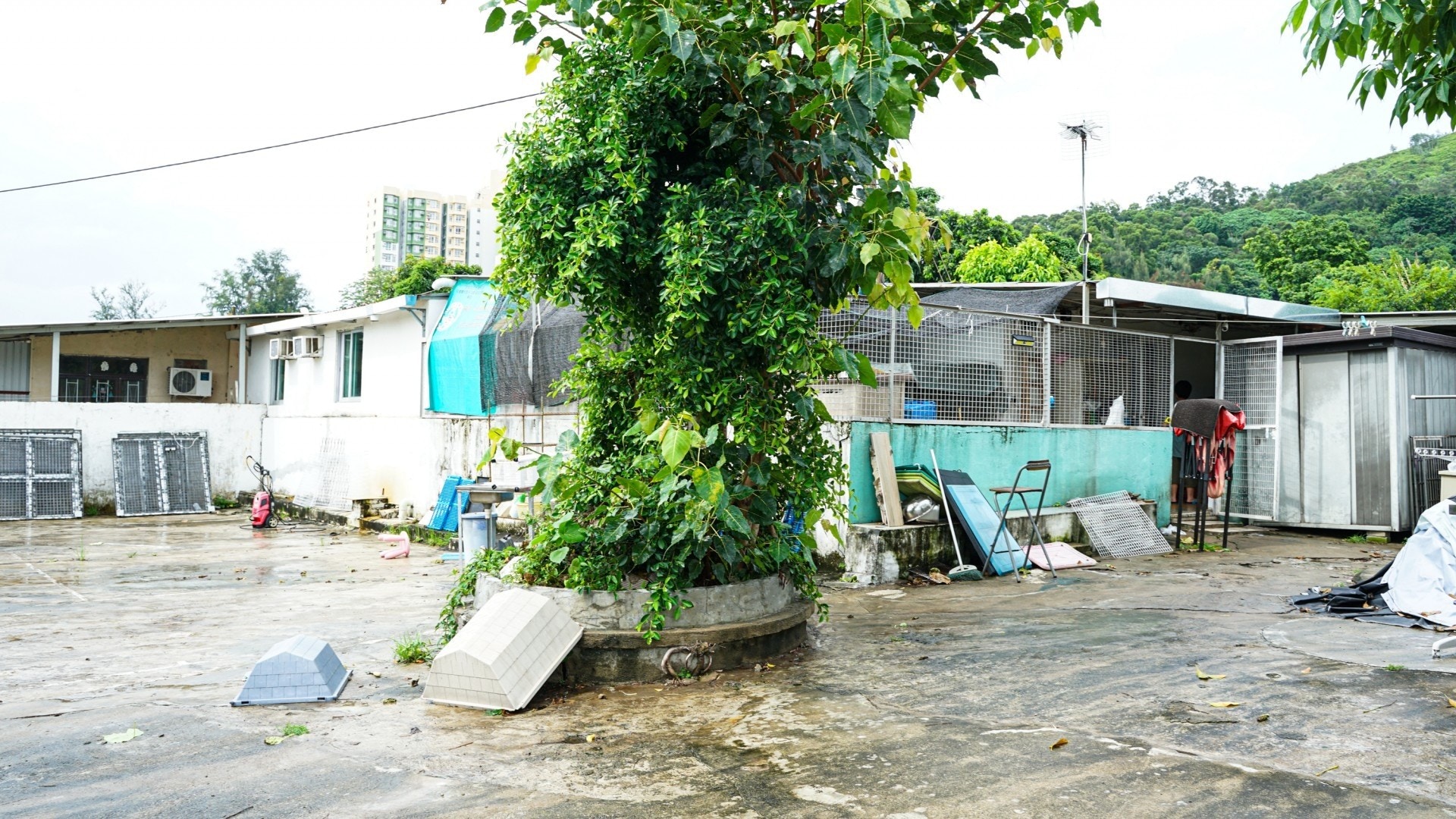 老有所依動物村在去年山竹襲港後,已搬遷往新場。(資料圖片) 老有所依動物村在去年山竹襲港後,已搬遷往新場。(資料圖片)