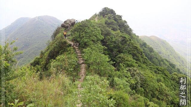 【新界行山路線】嘉道理農場起步上南北大刀屻 落山近粉嶺港鐵站 【新界行山路線】嘉道理農場起步上南北大刀屻 落山近粉嶺港鐵站