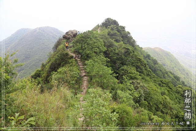 新界行山路線 嘉道理農場起步上南北大刀屻落山近粉嶺港鐵站 香港01 即時體育