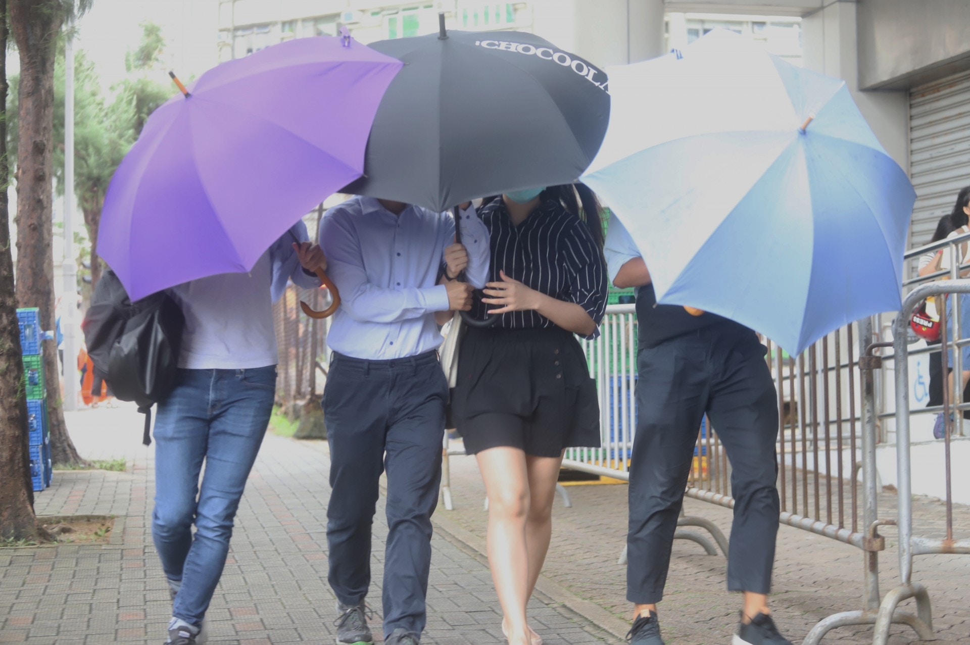 天文台料今年最多7個颱風襲港最快6月踏入風季 香港01 社會新聞