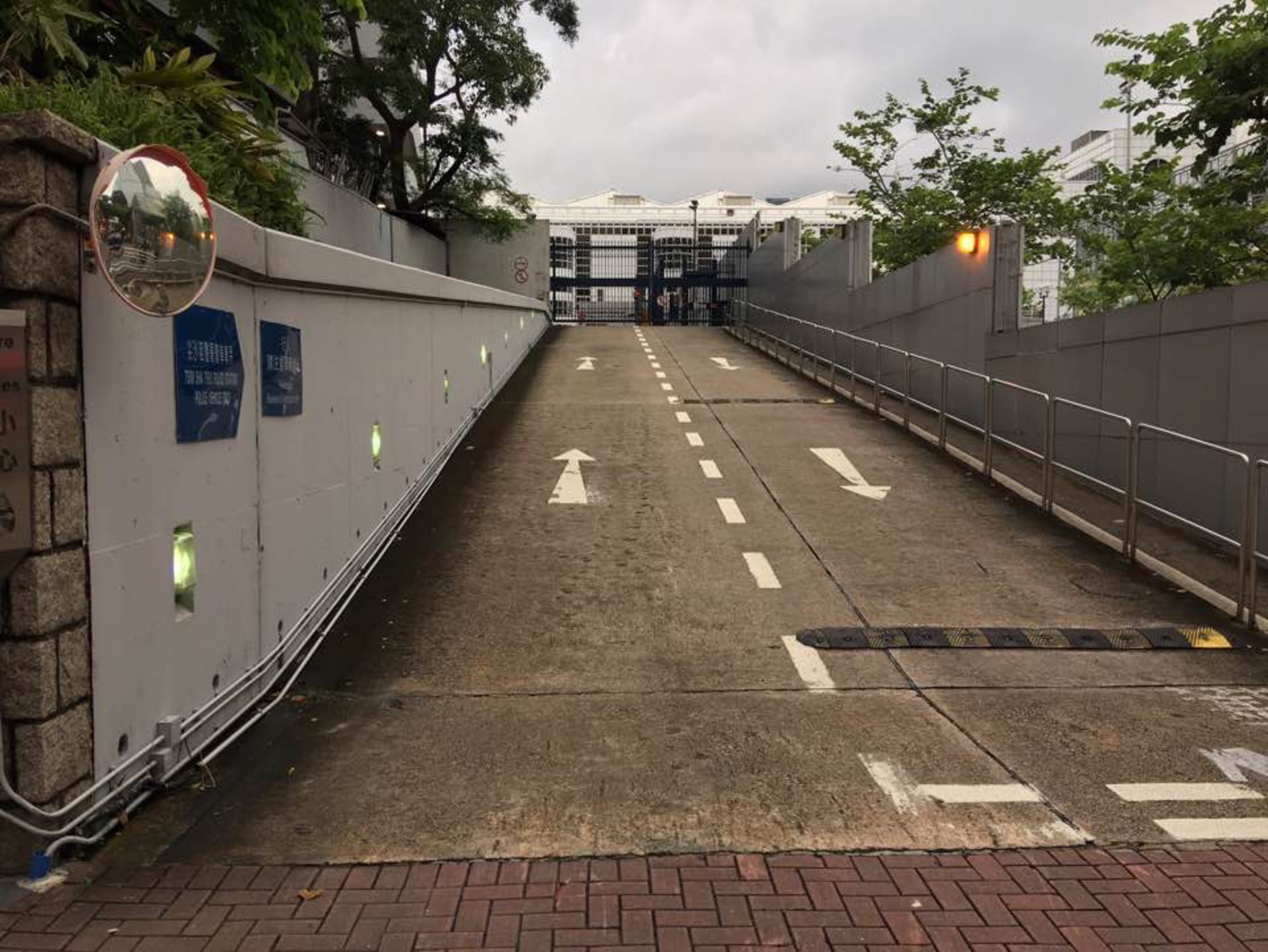 (陳浩然攝) (陳浩然攝)