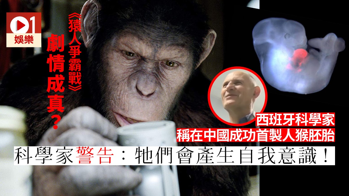 猿人爭霸戰恐怖噩夢或成真西班牙科學家聲稱成功製出人猴胚胎 香港01 電影 猿人爭霸戰恐怖噩夢或成真西班牙科學家聲稱成功製出人猴胚胎 香港01 電影