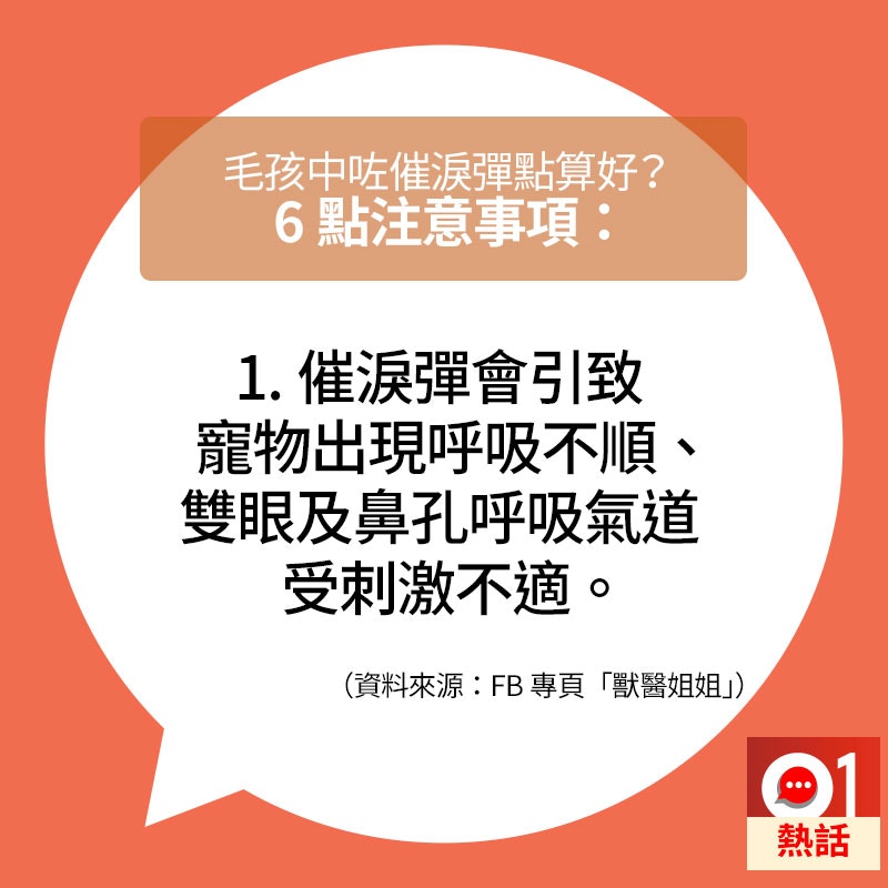若寵物遇到催淚彈,主人要注意的事情。(01製圖/資料來源:fb專頁「獸醫姐姐」) 若寵物遇到催淚彈,主人要注意的事情。(01製圖/資料來源:fb專頁「獸醫姐姐」)