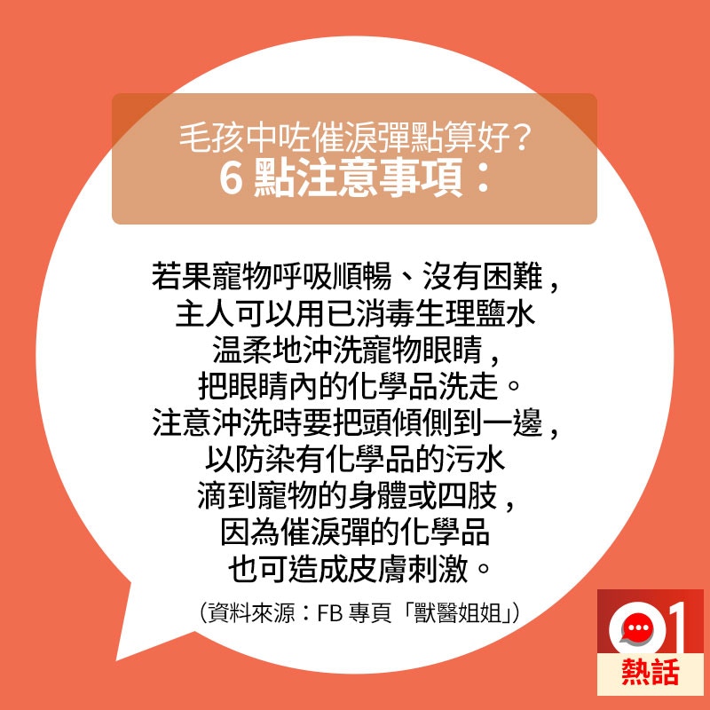 如果寵物呼吸順暢,主人則可以使用已消毒生理鹽水温柔地沖洗寵物眼睛。(01製圖/資料來源:fb專頁「獸醫姐姐」) 如果寵物呼吸順暢,主人則可以使用已消毒生理鹽水温柔地沖洗寵物眼睛。(01製圖/資料來源:fb專頁「獸醫姐姐」)