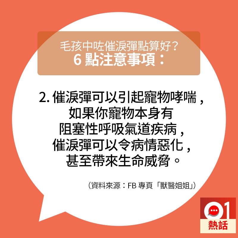 若寵物遇到催淚彈,主人要注意的事情。(01製圖/資料來源:fb專頁「獸醫姐姐」) 若寵物遇到催淚彈,主人要注意的事情。(01製圖/資料來源:fb專頁「獸醫姐姐」)
