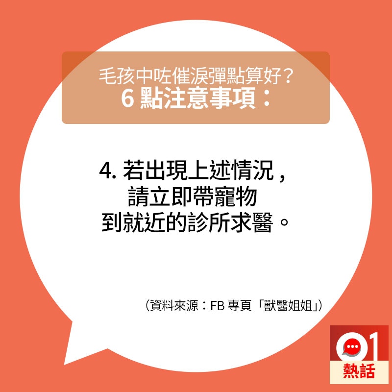 若寵物情況轉差,要盡快到就近診所求醫。(01製圖/資料來源:fb專頁「獸醫姐姐」) 若寵物情況轉差,要盡快到就近診所求醫。(01製圖/資料來源:fb專頁「獸醫姐姐」)
