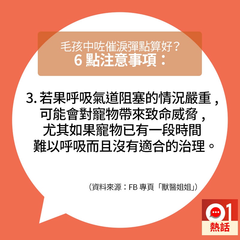 若寵物遇到催淚彈,主人要注意的事情。(01製圖/資料來源:fb專頁「獸醫姐姐」) 若寵物遇到催淚彈,主人要注意的事情。(01製圖/資料來源:fb專頁「獸醫姐姐」)
