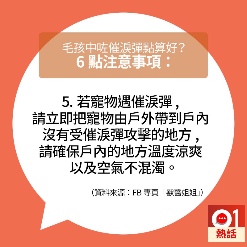 如果寵物呼吸順暢,主人則可以使用已消毒生理鹽水温柔地沖洗寵物眼睛。(01製圖/資料來源:fb專頁「獸醫姐姐」) 如果寵物呼吸順暢,主人則可以使用已消毒生理鹽水温柔地沖洗寵物眼睛。(01製圖/資料來源:fb專頁「獸醫姐姐」)