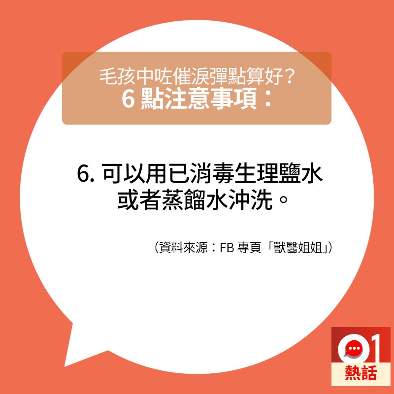 如果寵物呼吸順暢,主人則可以使用已消毒生理鹽水温柔地沖洗寵物眼睛。(01製圖/資料來源:fb專頁「獸醫姐姐」) 如果寵物呼吸順暢,主人則可以使用已消毒生理鹽水温柔地沖洗寵物眼睛。(01製圖/資料來源:fb專頁「獸醫姐姐」)