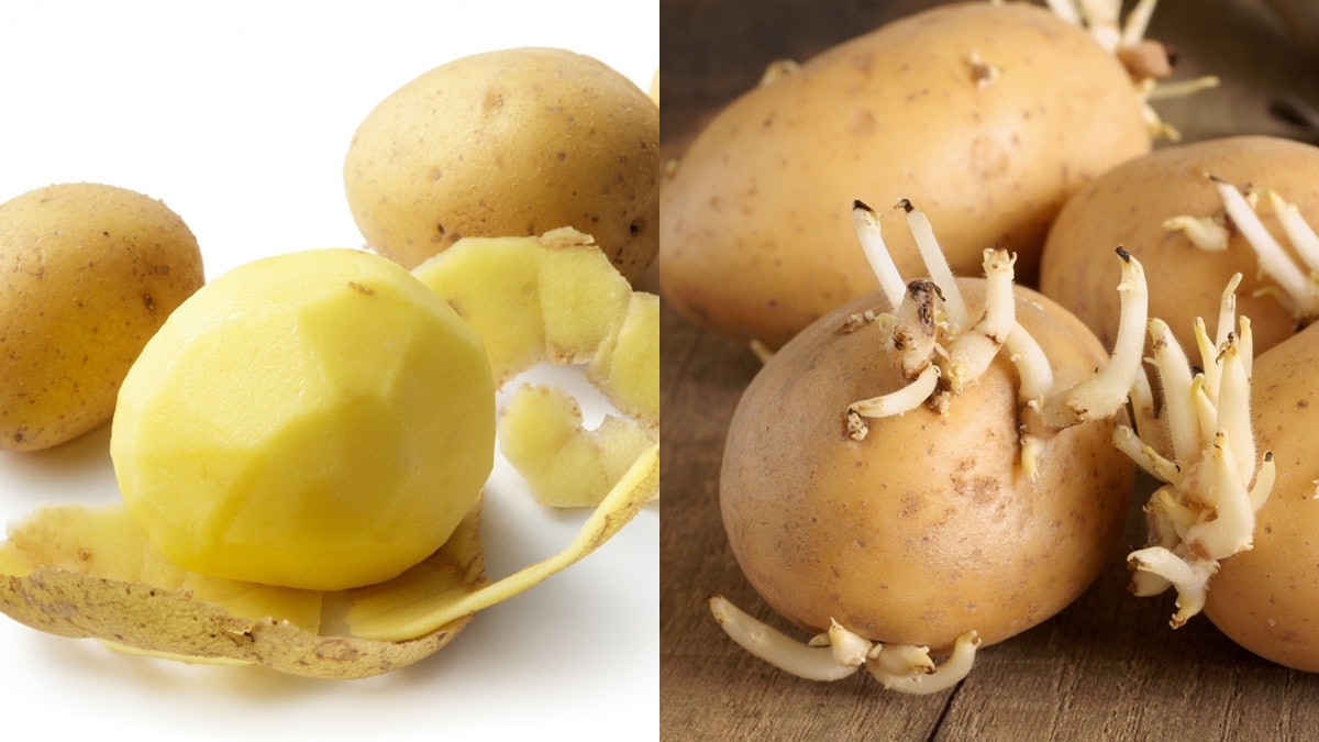 【食物安全】薯仔發芽誤食會嘴麻嘔吐!削青皮挖芽眼又食唔食得?