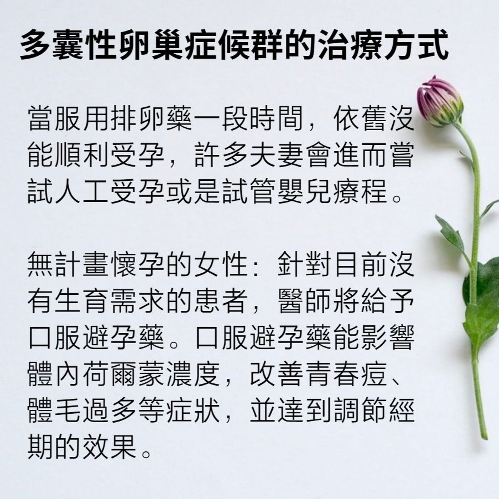 多囊性卵巢症候群症狀及治療方法(01製圖/Plush Design Studio/Unsplash) 多囊性卵巢症候群症狀及治療方法(01製圖/Plush Design Studio/Unsplash)