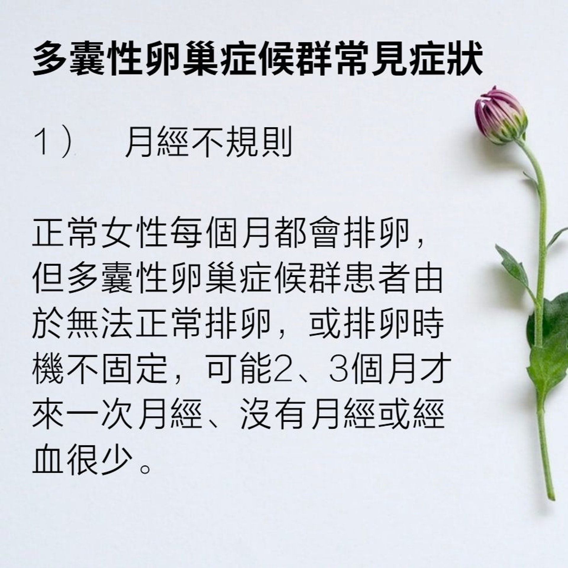 多囊性卵巢症候群症狀及治療方法(01製圖/Plush Design Studio/Unsplash) 多囊性卵巢症候群症狀及治療方法(01製圖/Plush Design Studio/Unsplash)