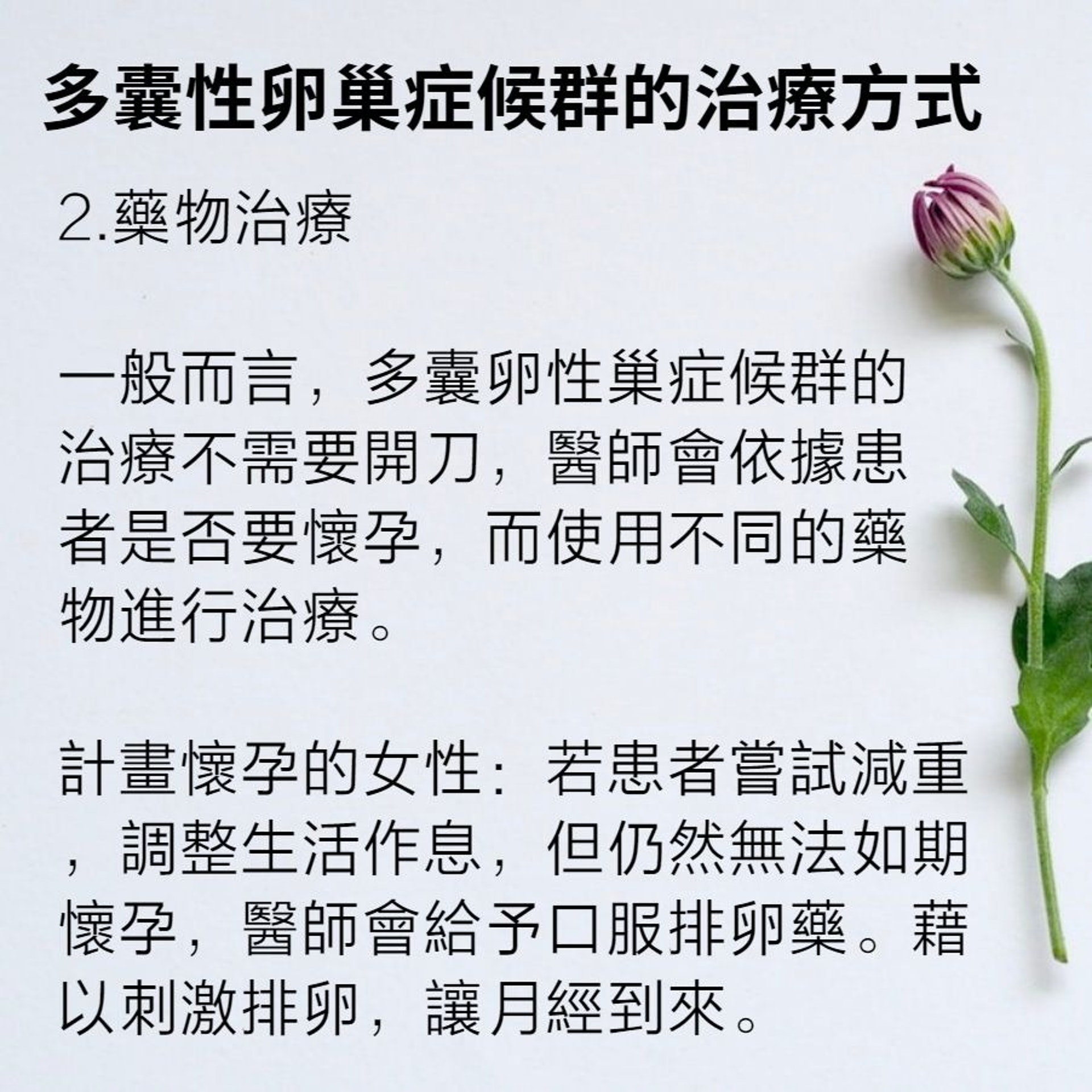 多囊性卵巢症候群症狀及治療方法(01製圖/Plush Design Studio/Unsplash) 多囊性卵巢症候群症狀及治療方法(01製圖/Plush Design Studio/Unsplash)