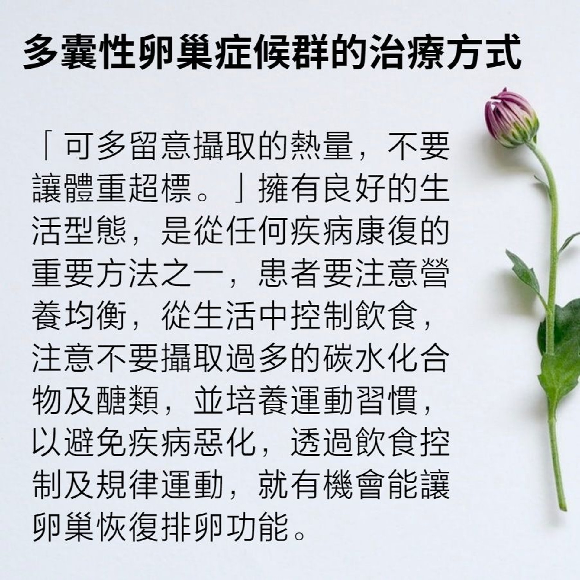 多囊性卵巢症候群症狀及治療方法(01製圖/Plush Design Studio/Unsplash) 多囊性卵巢症候群症狀及治療方法(01製圖/Plush Design Studio/Unsplash)