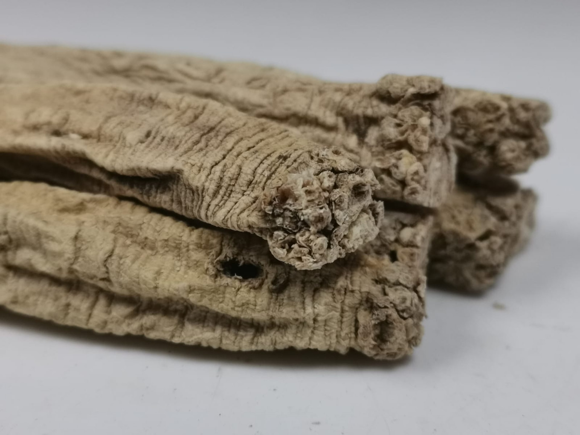 自清初開始人參資源不敷應用,臨牀逐漸以黨參作為代用品使用,功效獲得醫家認可。(受訪者提供) 自清初開始人參資源不敷應用,臨牀逐漸以黨參作為代用品使用,功效獲得醫家認可。(受訪者提供)