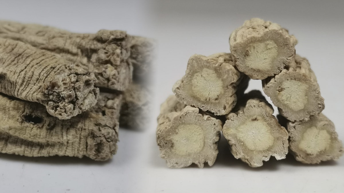 【健康百科】黨參功效獲醫家認可成人參代用品 中醫教揀靚黨參 【健康百科】黨參功效獲醫家認可成人參代用品 中醫教揀靚黨參