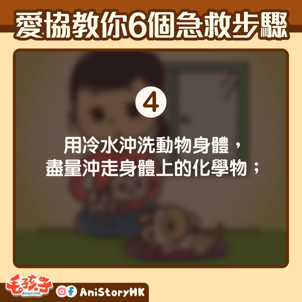 如貓狗受催淚氣體影響而感到不適,可嘗試跟著以下步驟急救 如貓狗受催淚氣體影響而感到不適,可嘗試跟著以下步驟急救