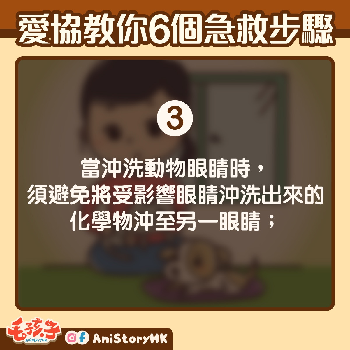如貓狗受催淚氣體影響而感到不適,可嘗試跟著以下步驟急救 如貓狗受催淚氣體影響而感到不適,可嘗試跟著以下步驟急救