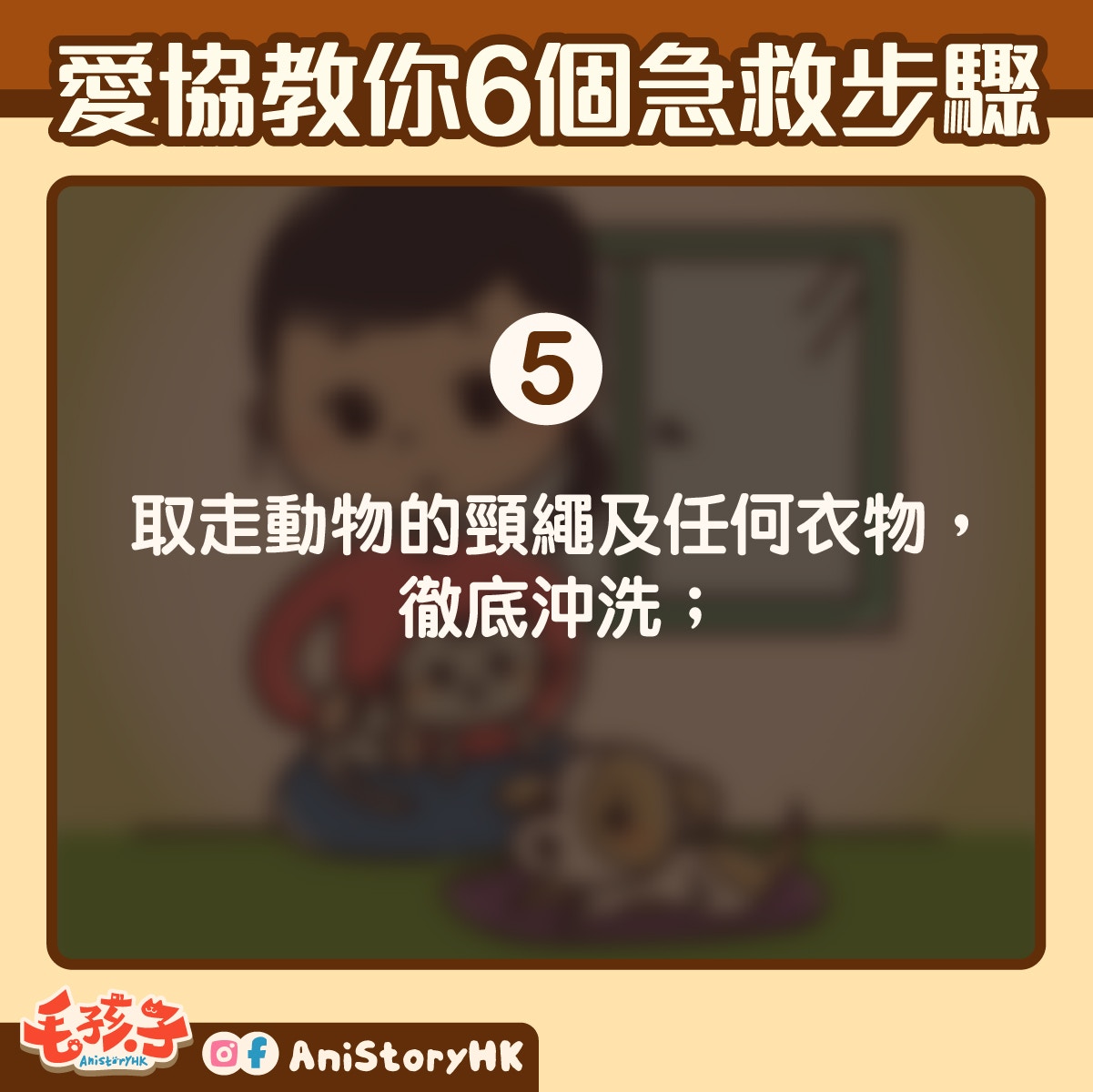 如貓狗受催淚氣體影響而感到不適,可嘗試跟著以下步驟急救 如貓狗受催淚氣體影響而感到不適,可嘗試跟著以下步驟急救