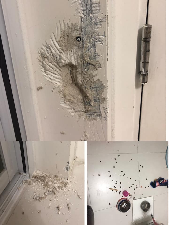 貴婦狗在絕育後突然做出破壞行為。（Facebook@Poodle’s Club吹水天地）