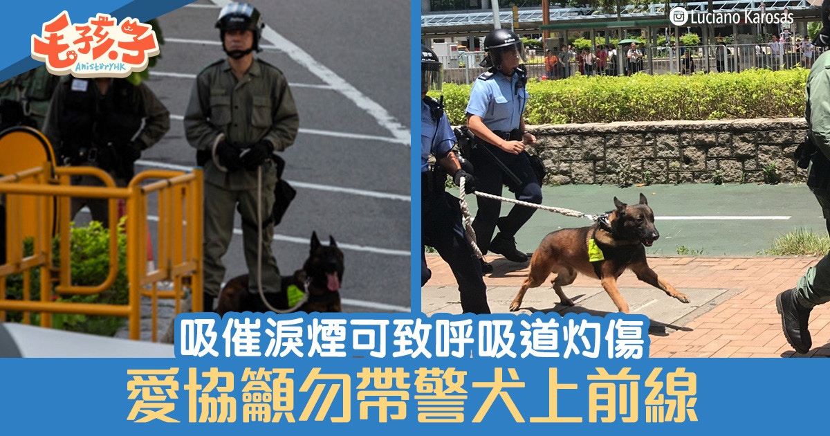 逃犯條例 警犬吸催涙煙可致灼傷愛協籲警勿帶牠們到有機會 中招 地方