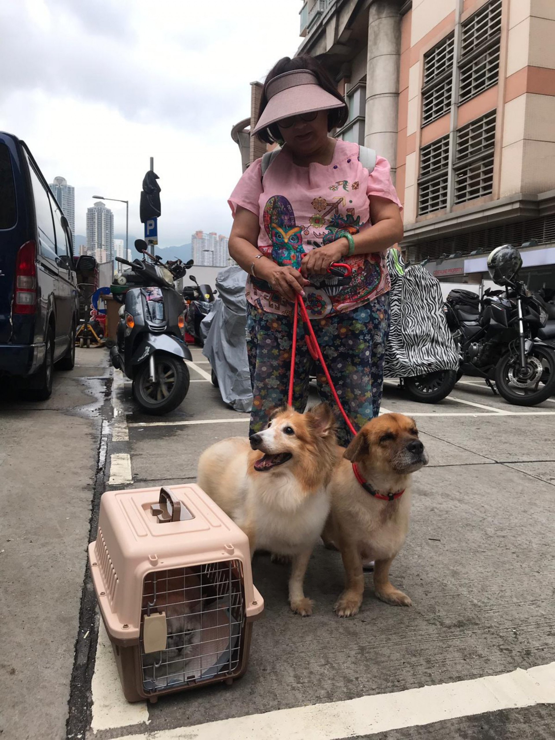 燕姐於20多年前認識曾生及其收養的被遺棄狗隻,自始便會「大樹下」結下不解之緣。(相片由「大樹下」提供) 燕姐於20多年前認識曾生及其收養的被遺棄狗隻,自始便會「大樹下」結下不解之緣。(相片由「大樹下」提供)