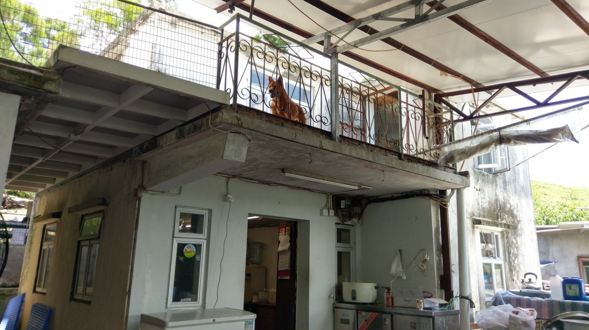 基於燕姐的身體狀況難以繼續照顧家中30多隻暫託貓隻,「大樹下」希望能在場內其中一座建築物的二樓,興建貓舍,以確保場內貓狗完全分隔,以免貓狗打架,發生意外。(尹蔚瑩攝) 基於燕姐的身體狀況難以繼續照顧家中30多隻暫託貓隻,「大樹下」希望能在場內其中一座建築物的二樓,興建貓舍,以確保場內貓狗完全分隔,以免貓狗打架,發生意外。(尹蔚瑩攝)