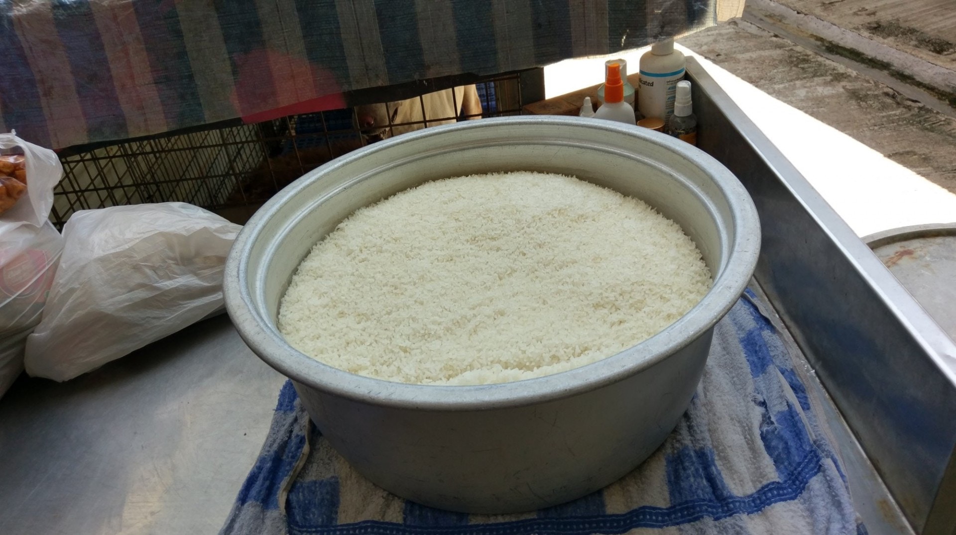 為減少場內場外每日400隻貓狗的膳食開支,「大樹下」義工主要以白飯,混合少量義工及公眾贈送的肉類、罐頭作為牠們的糧食。(尹蔚瑩攝) 為減少場內場外每日400隻貓狗的膳食開支,「大樹下」義工主要以白飯,混合少量義工及公眾贈送的肉類、罐頭作為牠們的糧食。(尹蔚瑩攝)