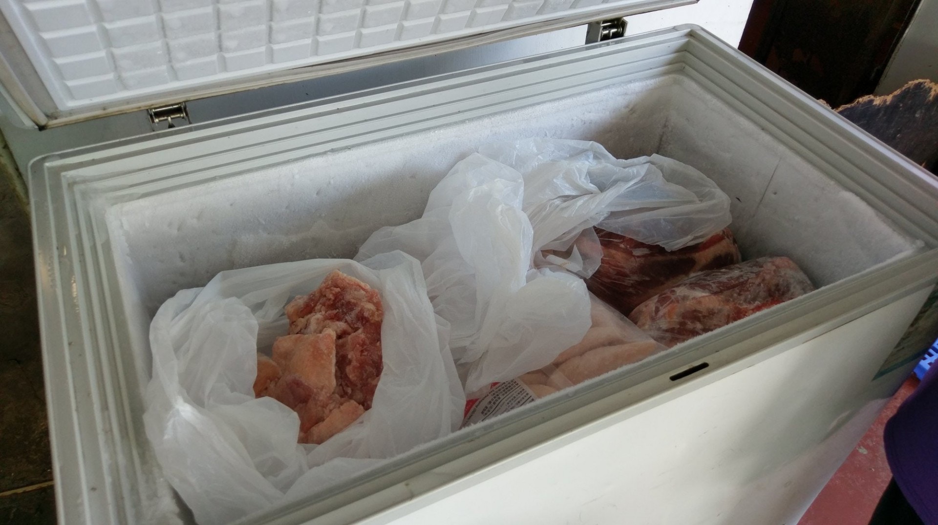 為減少場內場外每日400隻貓狗的膳食開支,「大樹下」義工主要以白飯,混合少量義工及公眾贈送的肉類、罐頭作為牠們的糧食。(尹蔚瑩攝) 為減少場內場外每日400隻貓狗的膳食開支,「大樹下」義工主要以白飯,混合少量義工及公眾贈送的肉類、罐頭作為牠們的糧食。(尹蔚瑩攝)