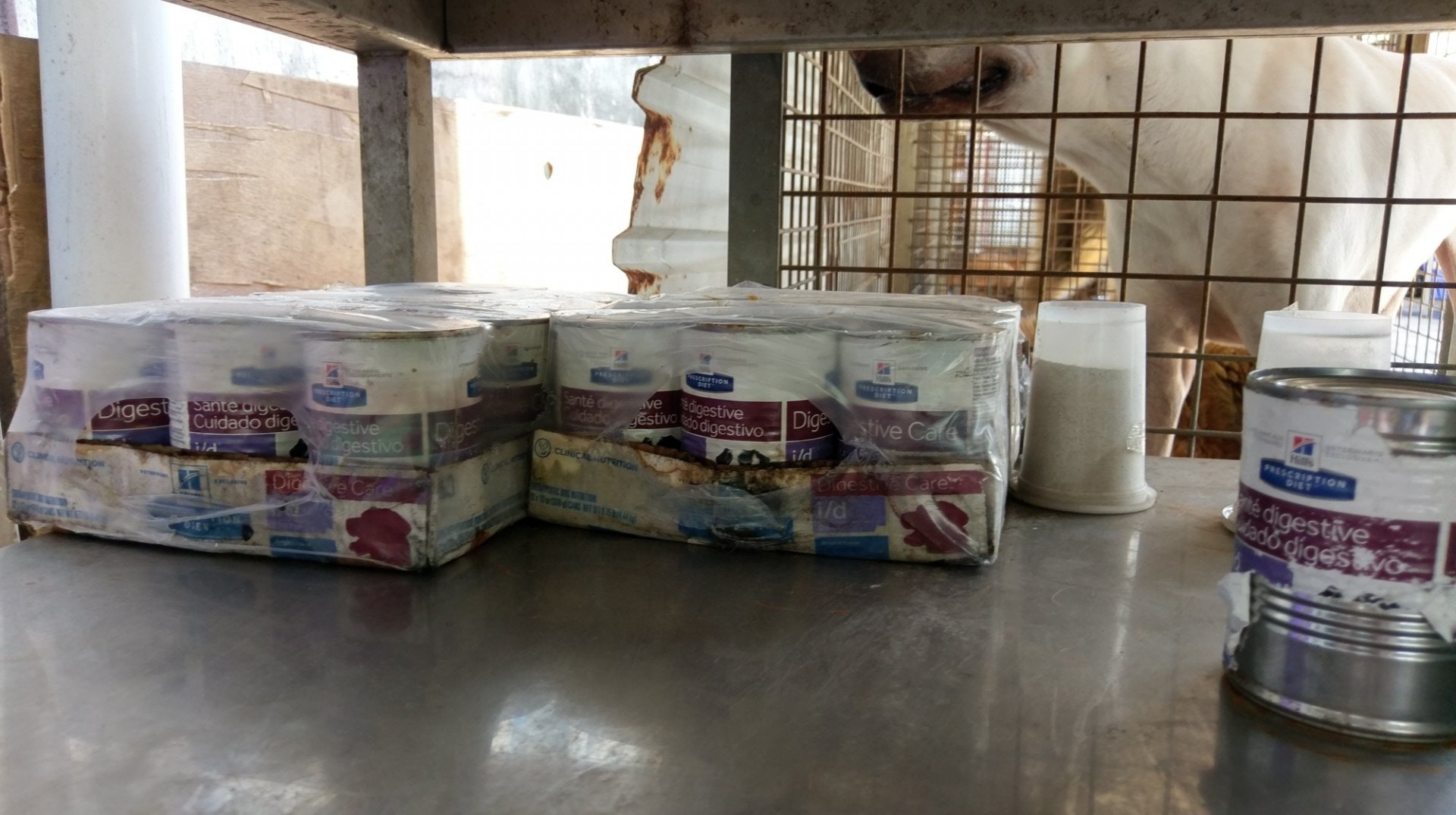 為減少場內場外每日400隻貓狗的膳食開支,「大樹下」義工主要以白飯,混合少量義工及公眾贈送的肉類、罐頭作為牠們的糧食。(尹蔚瑩攝) 為減少場內場外每日400隻貓狗的膳食開支,「大樹下」義工主要以白飯,混合少量義工及公眾贈送的肉類、罐頭作為牠們的糧食。(尹蔚瑩攝)