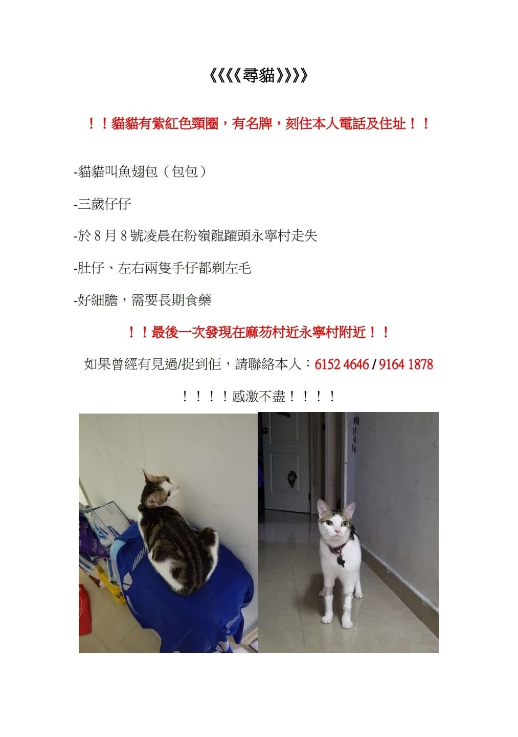 貓主Coco為包包製作的尋貓啟示。（受訪者提供）