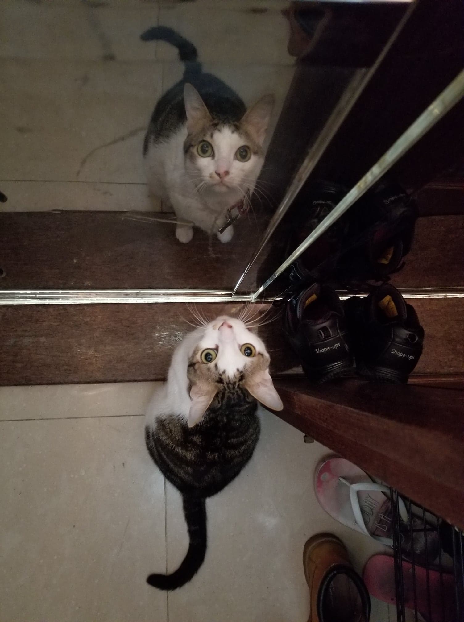 包包性格細膽。(受訪者提供) 包包性格細膽。(受訪者提供)