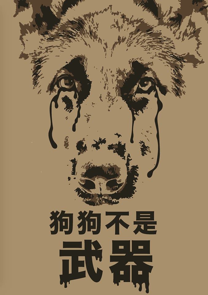 (Facebook@獸醫姐姐) (Facebook@獸醫姐姐)