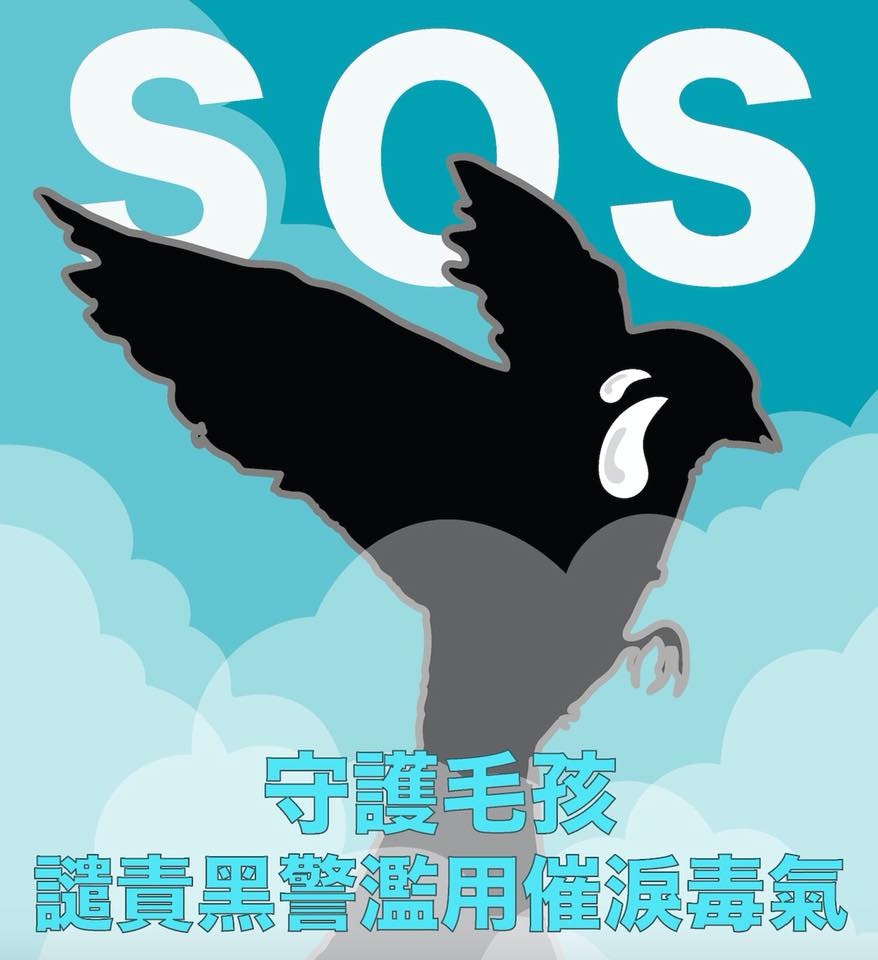 (Facebook@獸醫姐姐) (Facebook@獸醫姐姐)