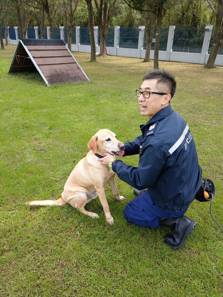 Barry曾與領犬員Raymond合作,到不同娛樂場所、路障、碼頭、船隻、邊境口岸等地點,執行反毒品工作。(facebook圖片:警犬巴打Barry) Barry曾與領犬員Raymond合作,到不同娛樂場所、路障、碼頭、船隻、邊境口岸等地點,執行反毒品工作。(facebook圖片:警犬巴打Barry)