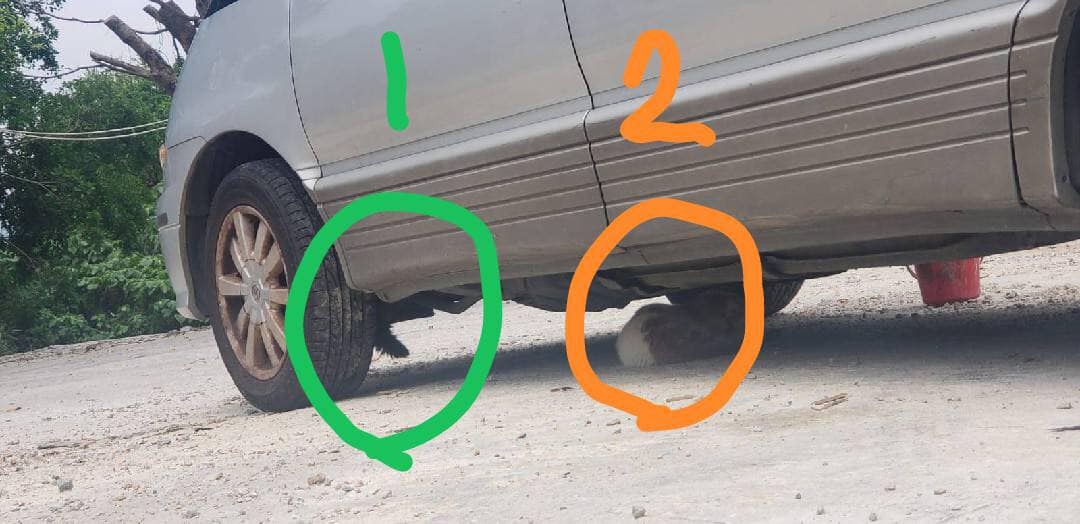 貓咪受驚逃入車底,義工Alan得悉此事後,馬上放下工作趕到現場救貓。(受訪者提供) 貓咪受驚逃入車底,義工Alan得悉此事後,馬上放下工作趕到現場救貓。(受訪者提供)