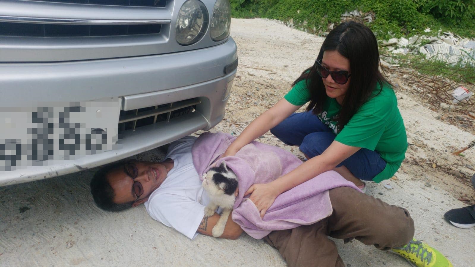 幸好貓咪並無大礙。(受訪者提供) 幸好貓咪並無大礙。(受訪者提供)