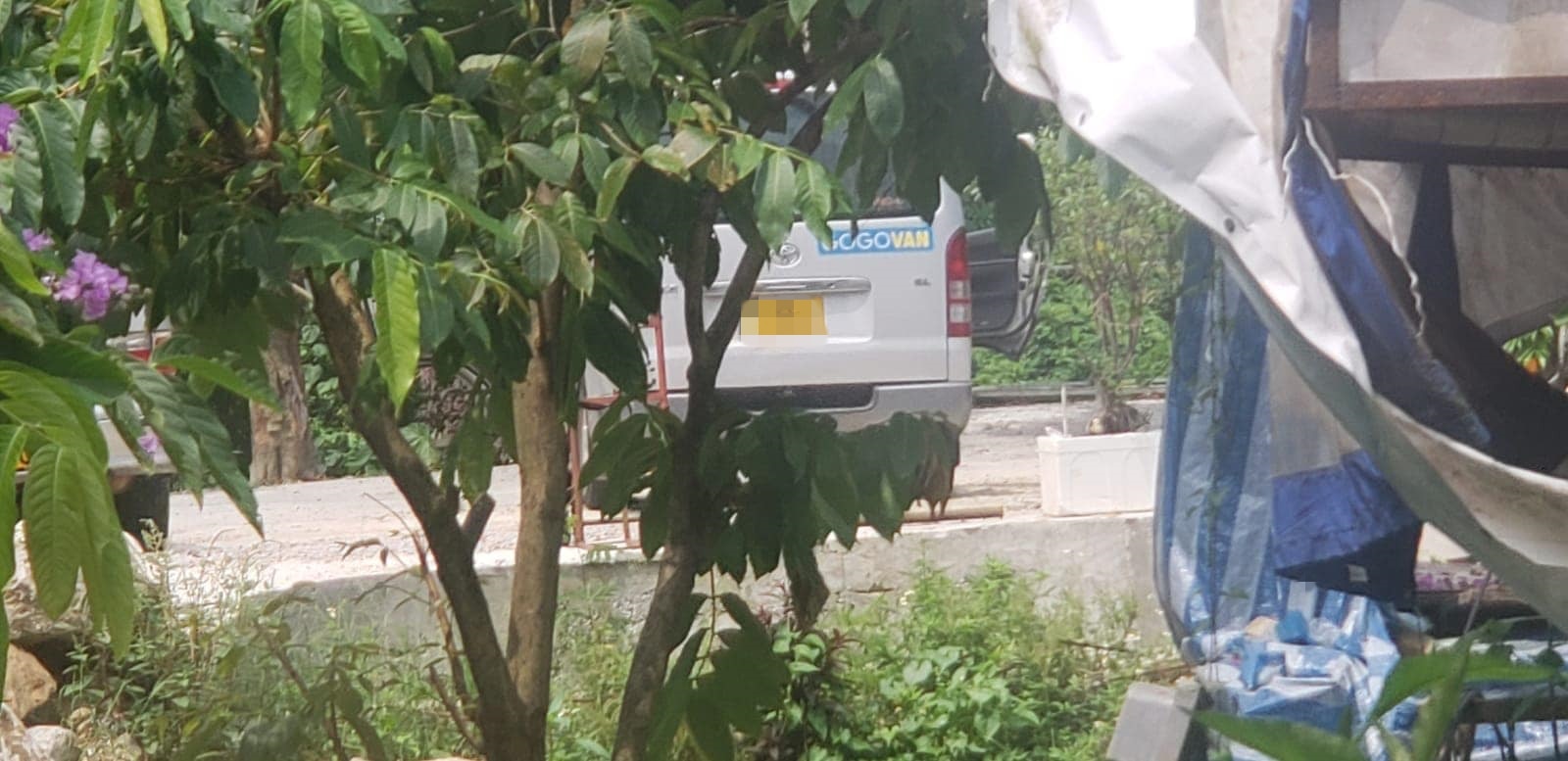 一輛貼有GOGOVAN貼紙的客貨車,把棄貓男子載至寺廟前。(受訪者提供) 一輛貼有GOGOVAN貼紙的客貨車,把棄貓男子載至寺廟前。(受訪者提供)