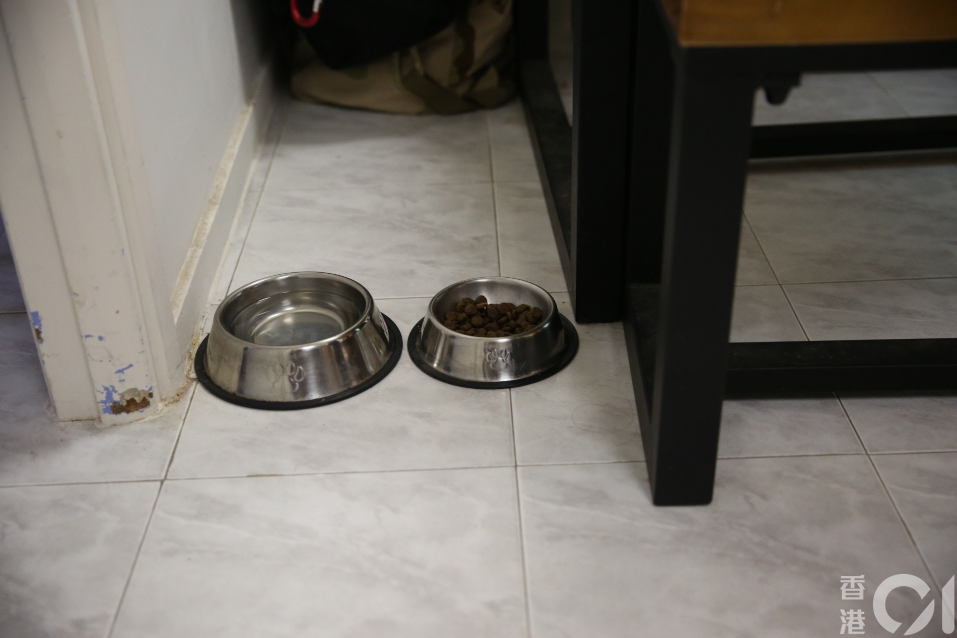 (王譯揚攝) (王譯揚攝)