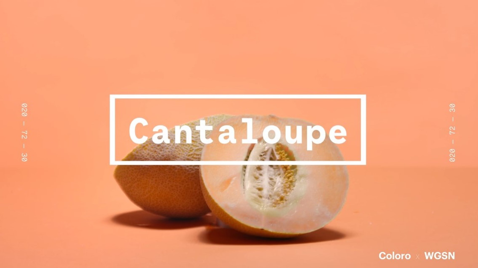 Cantaloupe哈密瓜橙色比起2019的年度色珊瑚色更柔和、活力。(WGSNxColoro)