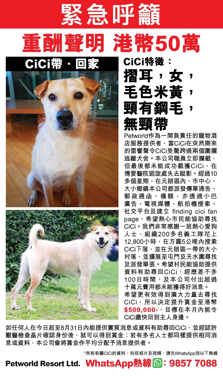 狗酒店負責人李小姐今日(22日)在兩份報章刊登此啟事,重酬50萬元尋狗。(受訪者提供) 狗酒店負責人李小姐今日(22日)在兩份報章刊登此啟事,重酬50萬元尋狗。(受訪者提供)