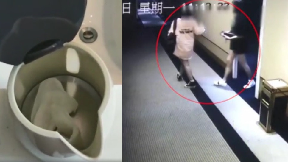 五星級酒店核突女住客 用過M巾塞電水壺 網民:下次當尿盆呢! 五星級酒店核突女住客 用過M巾塞電水壺 網民:下次當尿盆呢!