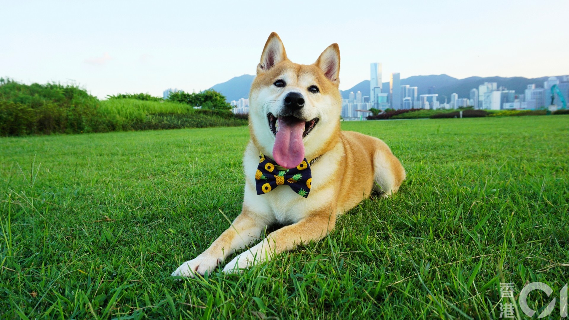 丘先生認為停車場距離公園太遠,構成不便。(何穎琪攝) 丘先生認為停車場距離公園太遠,構成不便。(何穎琪攝)