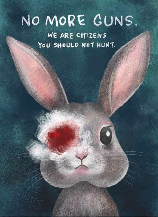 (Facebook@獸醫姐姐) (Facebook@獸醫姐姐)